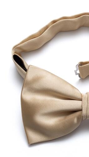 Goud kleurige zijden smoking strik